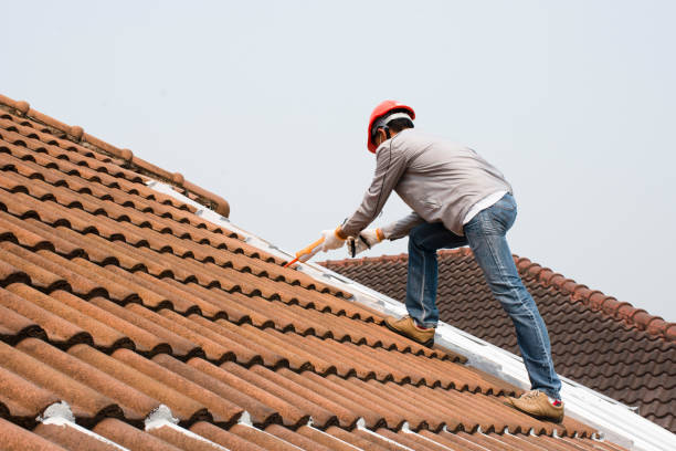 Best Chimney Flashing Repair  in Lovejoy, GA